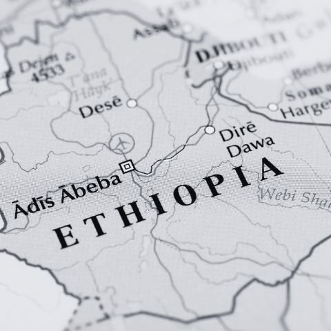 Café d’Éthiopie | Le berceau historique de l’or noir