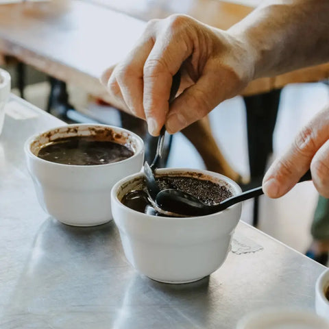 Le café de spécialité : tout savoir sur ce grain d'exception qui révolutionne votre tasse