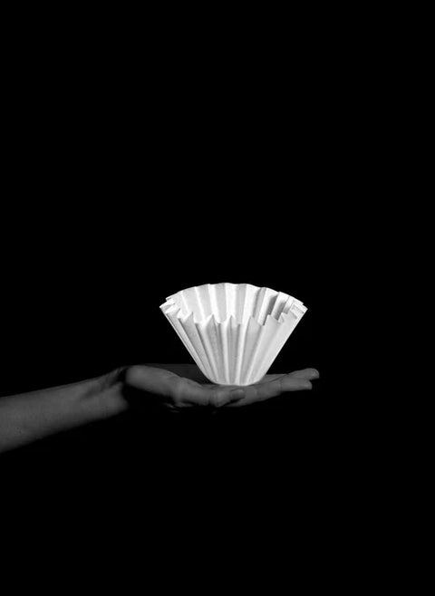 WAVE – Filter Kalita 185 & Origami M